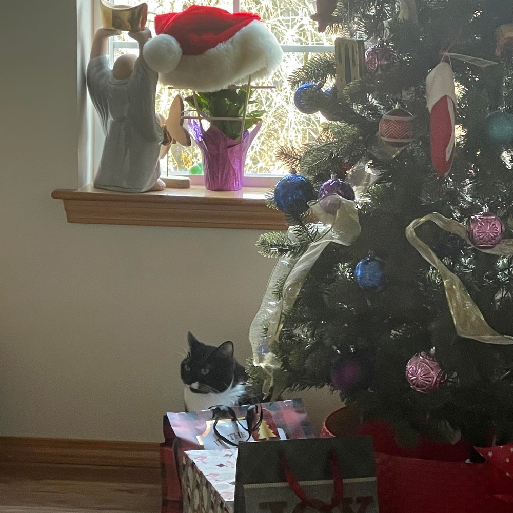 Meet your Posher, Charina